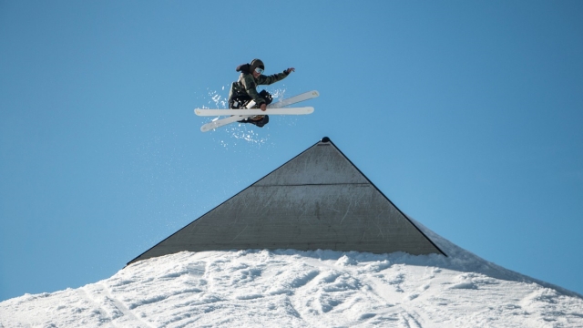 优发：园林绿化植物保护