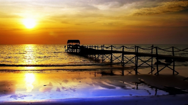 优发国际：园林绿化临时栽植点