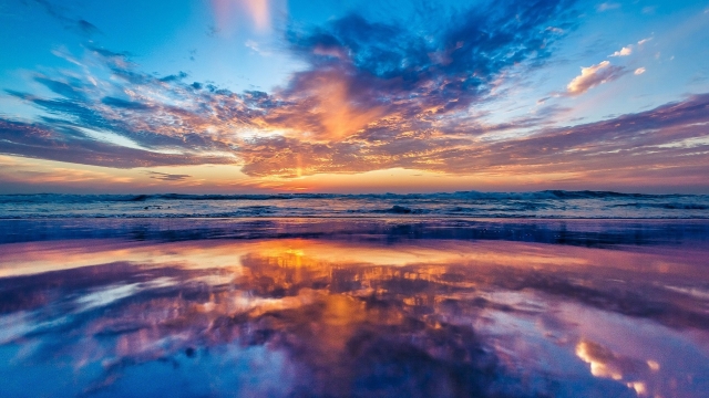 园林绿化管养护