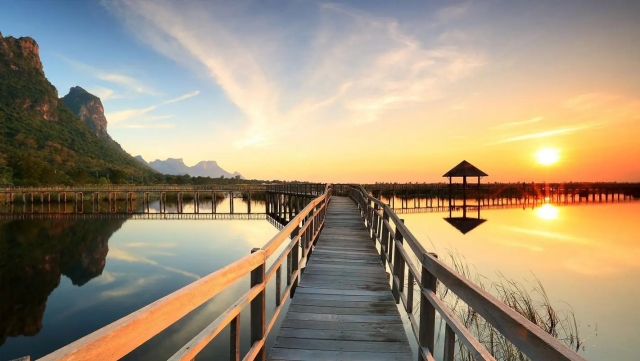 优发国际：园林绿化松柏修剪