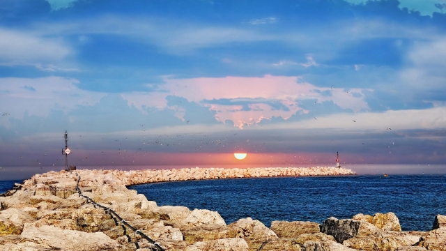 优发国际：园林绿化冬季养护措施