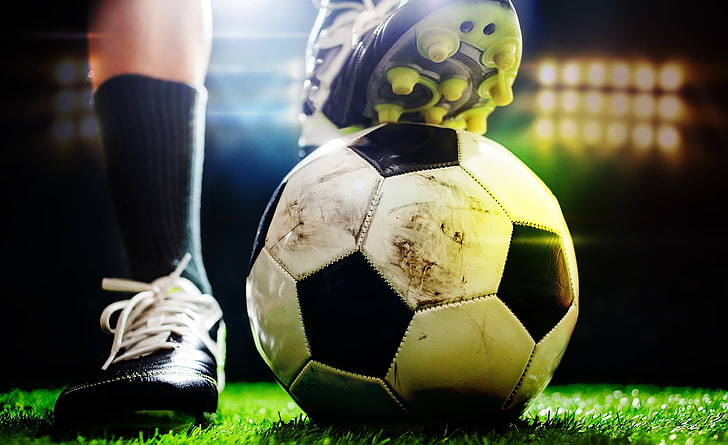 园林绿化绣球花