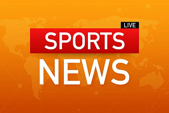 优发国际：园林绿化枇杷树